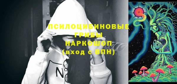 ГАЛЛЮЦИНОГЕННЫЕ ГРИБЫ Арсеньев