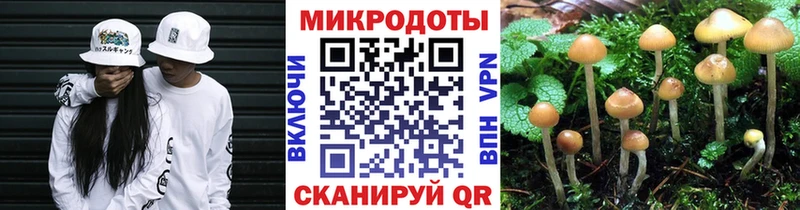 купить наркотики цена  Озёрск  Псилоцибиновые грибы Psilocybe 